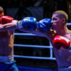 Все встречи по правилам бокса и кикбоксинга прошли по формуле трех раундов по три минуты — newsvl.ru