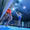 Все встречи по правилам бокса и кикбоксинга прошли по формуле трех раундов по три минуты — newsvl.ru