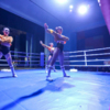 Выступление танцовщиц во время небольшого перерыва перед двумя заключительными боями турнира — newsvl.ru