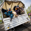 Некоторые собаки спрыгивают сами, другим помогают спасатели — newsvl.ru