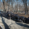 Весь мусор будет вывезен на "Спецзавод №1" — newsvl.ru