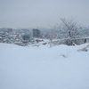 На сопке Комарова лежит глубокий снег — newsvl.ru
