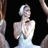Двойная роль Одетты (белого лебедя) и Одиллии (чёрного лебедя) – одна из наиболее сложных партий в балетном репертуаре — newsvl.ru