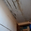 Из-за дырявой крыши локальные протечки в квартирах на втором этаже наблюдались давно, но за последние два месяца тающим снегом затопило весь дом - все 16 квартир и подъезды — newsvl.ru