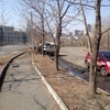 Водитель на Nissan Elgrand на Каплунова не справился с управлением автомобилем и врезался в дерево — newsvl.ru