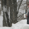 Даже в такой снежный денек горожане решили не сидеть дома, а отправиться на прогулку — newsvl.ru