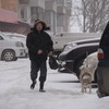 Гулять с питомцами нужно в любую погоду — newsvl.ru
