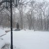 К утру толщина снега достигала полуметра — newsvl.ru