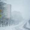 Сегодня улицы города побелели — newsvl.ru