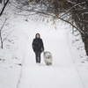 Животным снег нипочем... — newsvl.ru