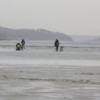 Рыбаки выходят на тонкий лед бухты Новик  — newsvl.ru