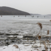Несмотря на теплый день, на льду в Новике с десяток рыбаков — newsvl.ru