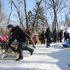 В соревнованиях приняло участие более 40 спортсменов и 50 собак — newsvl.ru