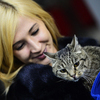 Кошка Матроска в очередной раз следит за дерби, но смотрит за происходящим с опаской — newsvl.ru