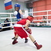 Молодые боксеры старались показать хорошую технику — newsvl.ru