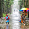 В настоящее время погоду на юге Дальнего Востока определяет Шанхайский циклон — newsvl.ru