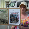 Участники акции призвали решать проблемы бездомных животных "по-человечески" — newsvl.ru