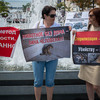 Призывали нести ответственность за своих собак и кошек и протестовали убийству животных — newsvl.ru