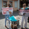 Участники акции принесли плакаты, столик с листовками и ящичек для пожертвований — newsvl.ru