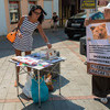 Участники акции раздавали прохожим листовки, в которых говорилось о необходимости стерилизовать собак и кошек — newsvl.ru