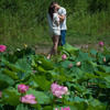 Немного романтики на фоне пока еще не пострадавших цветов — newsvl.ru