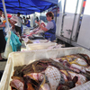 90-95 рублей стоит камбала на рыбных рядах ярмарки — newsvl.ru