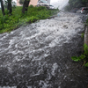 Сильнейший дождь, сопровождавшийся громом и молнией, шел сегодня утром, 19 июля — newsvl.ru