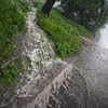 Сильнейший дождь, сопровождавшийся громом и молнией, шел сегодня утром, 19 июля — newsvl.ru