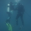 Discover Scuba Diving - программа, рассчитанная на тех, кто погружается в первый раз — newsvl.ru