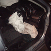 Сработавшие подушки безопасности в Mitsubishi Galant Fortis — newsvl.ru