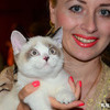 В рамках выставки состоялась продажа котят, которая, по словам руководителя клуба «Кошачье царство» Инны Белоусовой, с каждым годом становится всё более востребованной — newsvl.ru