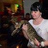 В рамках выставки состоялась продажа котят — newsvl.ru