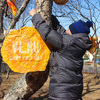 Кирилл Бетс крепит блин на дерево — newsvl.ru