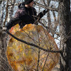 Ребята становятся на стремянки и вешают блины на деревья — newsvl.ru