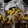 Считается, что жёлтые тюльпаны приносят счастье — newsvl.ru