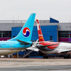 № 981, Korean Airlines, из Сеула. Boeing 737 — newsvl.ru