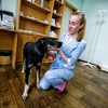 Пёс Буран, вылеченный в "Даре" — newsvl.ru