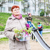 Жители микрорайона высаживали и свои цветы — newsvl.ru