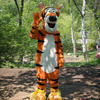 Тигр – настоящий талисман экологических игр  — newsvl.ru