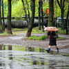 Горожане сегодня достали с полок свои зонты — newsvl.ru