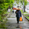 В такие дни город украшают яркие зонтики — newsvl.ru