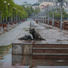 Тигры одиноко сидят на тротуаре — newsvl.ru