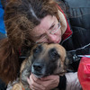 Собака для кинологов как член семьи — newsvl.ru