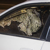 Пешеход пробил лобовое стекла седана — newsvl.ru
