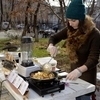 сегодня открыли свои «закусочные» лишь 15 начинающих рестораторов — newsvl.ru