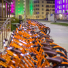 Оранжевые велосипеды спортсменов из Нидерландов — newsvl.ru