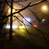 Ночные огни смотрятся в тумане по-сказочному красиво — newsvl.ru