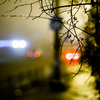 Густой туман опустился на Владивосток и окутал своей пеленой улицы приморской столицы — newsvl.ru