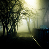 Ночью туманный Владивосток выглядел сказачно — newsvl.ru