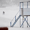 Выпавший снежок быстро преобразил облик серых улиц — newsvl.ru